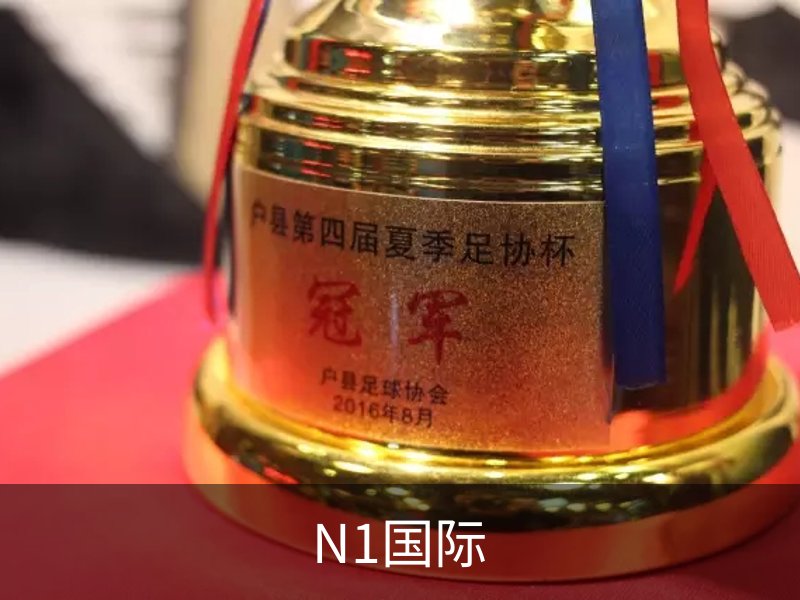 N1国际概况